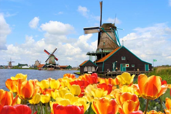 Taxi Amsterdam Schiphol Minibus Bus rent Vip private driver shuttle service congress event group transfer buscompany private tours Tour Netherlands Holland Keukenhof Zaanse Schans Volendam Giethoorn
